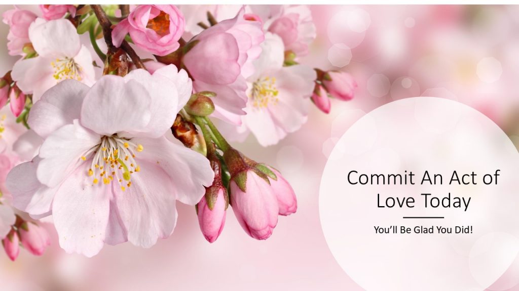 Pink blossoms and the words" Commit an act of love today"