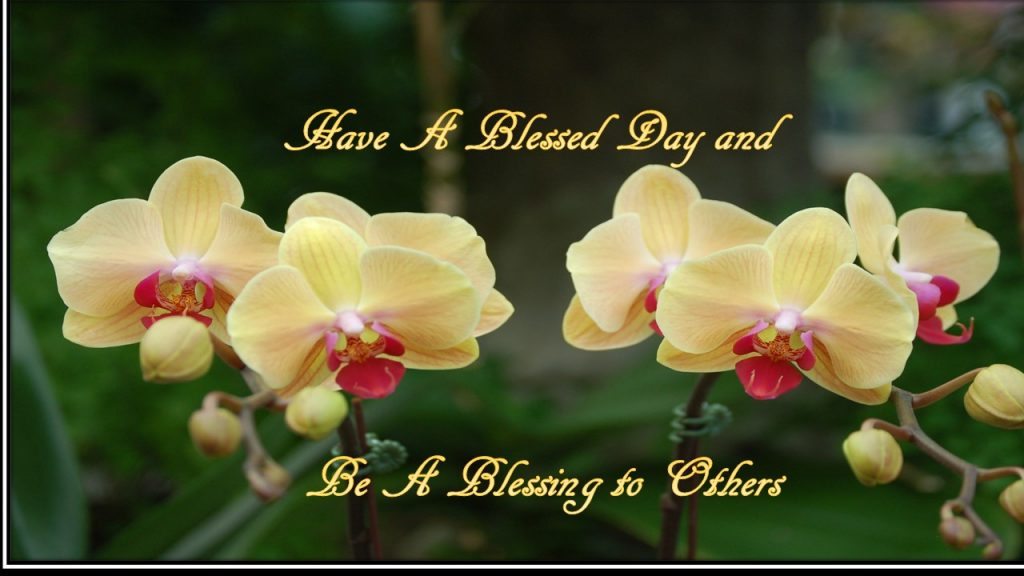 Have a Blessed Day and Be a Blessing to Others Quote