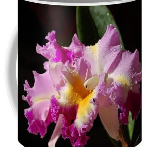Nancy's Novelty Photos on Pixels coffee mug