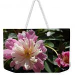 Photo pf a pink and white dahlia on a weekender tote bag