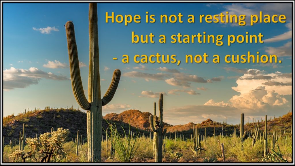 "Hope is not a resting place, but a starting place: a cactus, not a cushion."