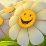 Smiley face Sunflower